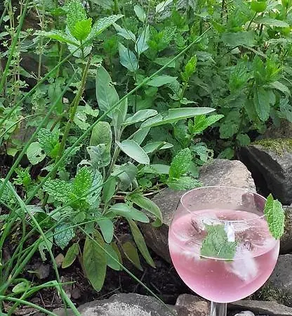 Horska Bouda Dimrovka 3*